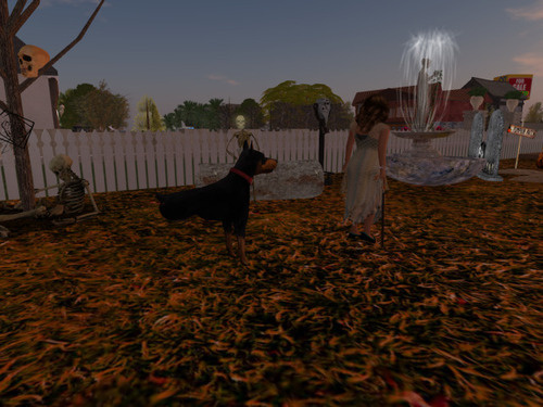 Web 653309c4e556e909362a029d