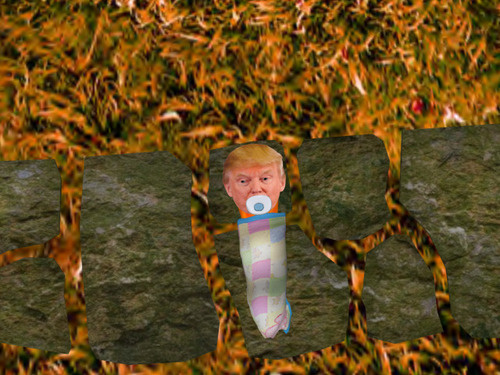 Web 6534648f82e5fe557b1502cc