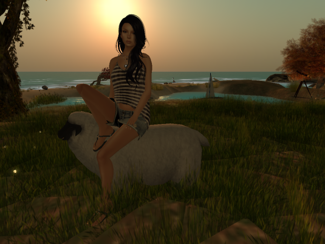 Original 56aadd389934e065cf000001