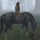 Thumb 56b7732a76408b13d5000001