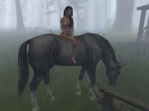 Web 56b7732a76408b13d5000001