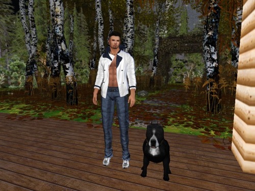 Web 580e9530b01540601e000001