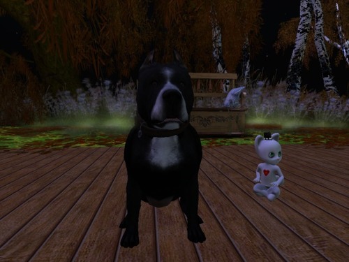 Web 580faddbb713f701a3000001