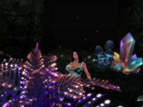 Web 5bfc7d4ad774f84d29000001