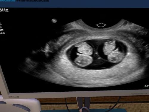 Web 5f54265e289dd226b533d1c9