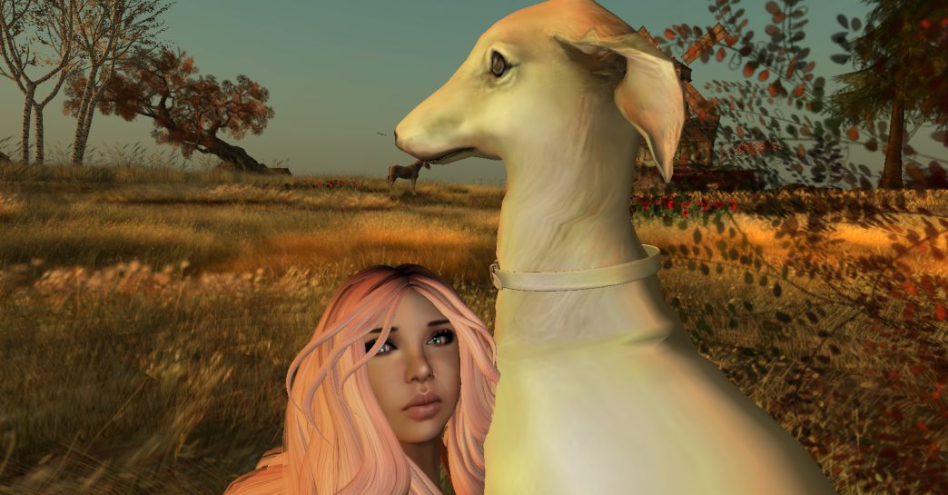 Original 5705ee789934e0697f000001