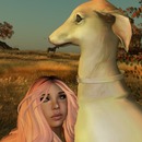 Thumb 5705ee789934e0697f000001