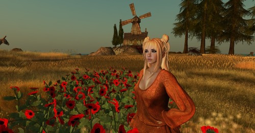 Web 5705efeef8a1ec5d8e000001