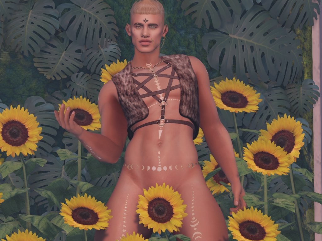 Original 5dc76a21289dd2086f000001