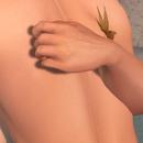 Thumb 5a07ab0073ed1745b8000001