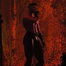 Thumb 5da68362d9859c5373000001