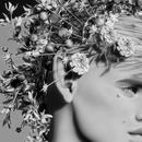 Thumb 5dbe573673ed172463000001