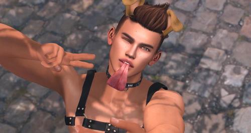 Web 5a2ad15873ed171325000001