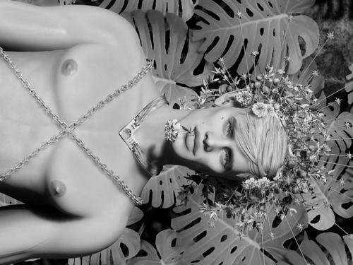 Web 5dbe56cdd9859c6087000001