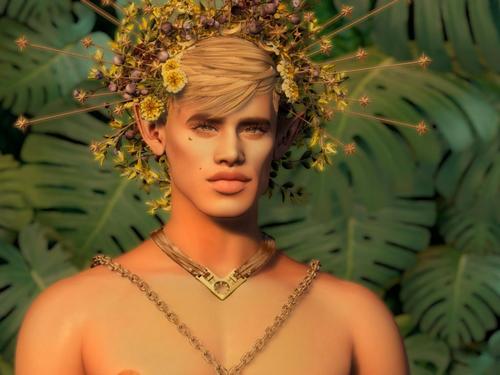 Web 5dbe585e289dd20bd1000001