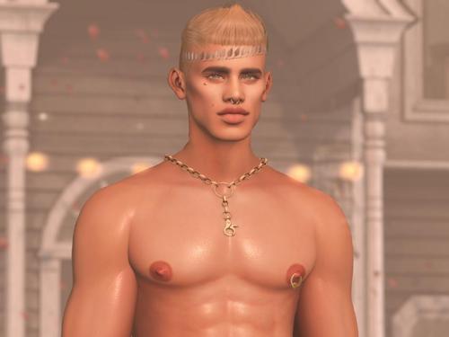 Web 5dc5cc9173ed17537b000001