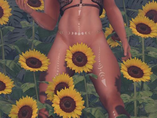 Web 5dc769fcd774f80bd5000001