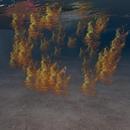 Thumb 5efb666473ed17203558b0bf