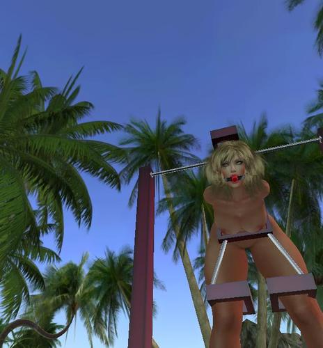 Web 5b145fb973ed171809000001