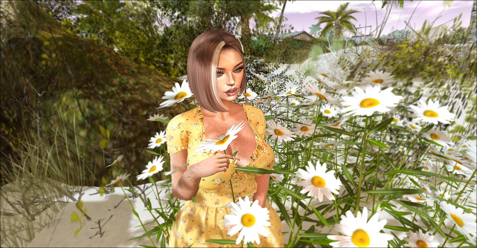 Original 64cc04dbd8a9527ccf6a0fdb