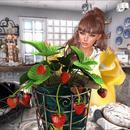 Thumb 621b4369ea5e0e38febe1aa9