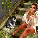 Thumb 64328349f3b66802d4950345