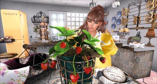 Web 621b4369ea5e0e38febe1aa9