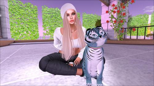 Web 6234cf4a4ddcbf3592b39e7e