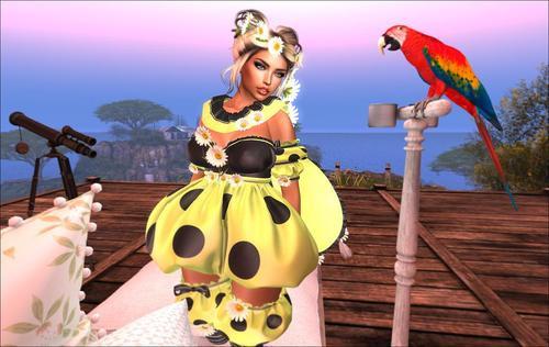 Web 623e2f5ab9336e7d80eedffd