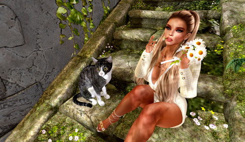 Web 64328349f3b66802d4950345