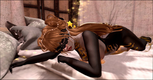 Web 64418dd4fb192026f407d38c