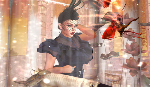 Web 645022f9f3b6681449950345