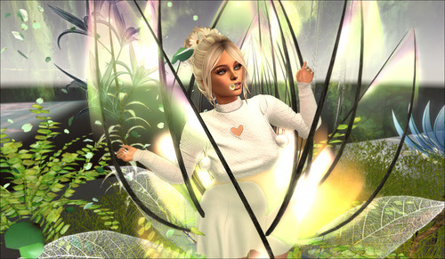 Web 645147523d8d3c64ffdca015