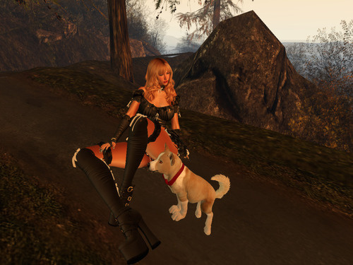 Web 6812b749cee8d74a7a12babb