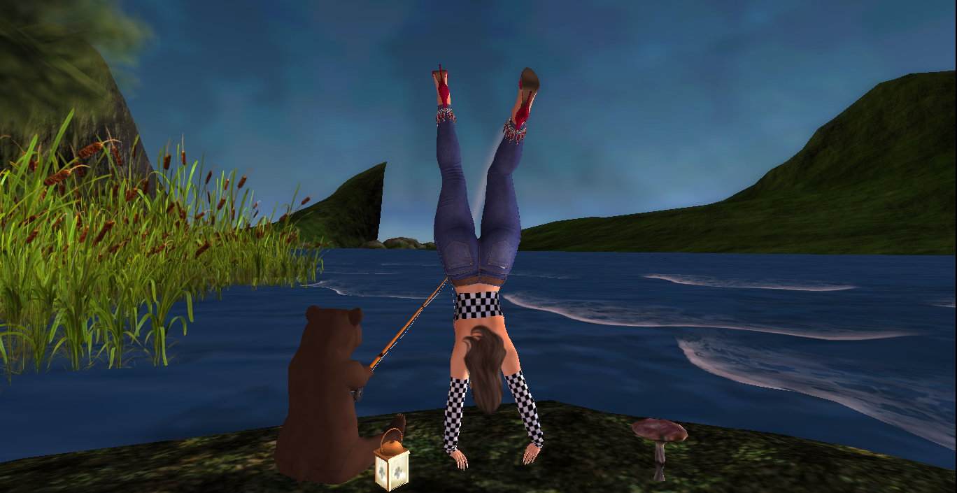 Original 64dc5889597e1a3d4631fa0e