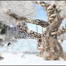 Thumb 5bccf66173ed176de8000001