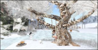 Web 5bccf66173ed176de8000001