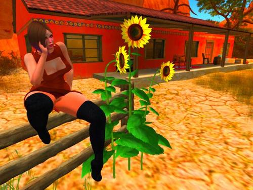 Web 5bd8ed84d9859c2f6a000001