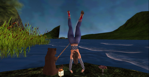 Web 64dc5889597e1a3d4631fa0e