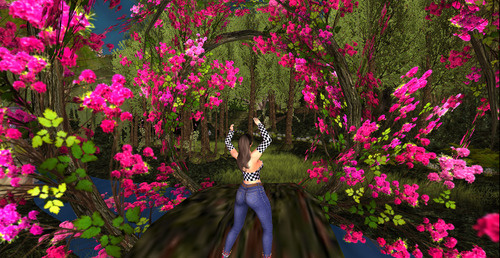 Web 64dc59bcf21a8f0f7a4d4edb