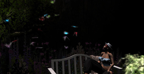 Web 64dee96795dcc9322e4c7984