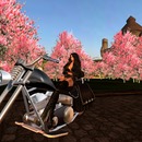 Thumb 57e7dad3b0154064bc000001