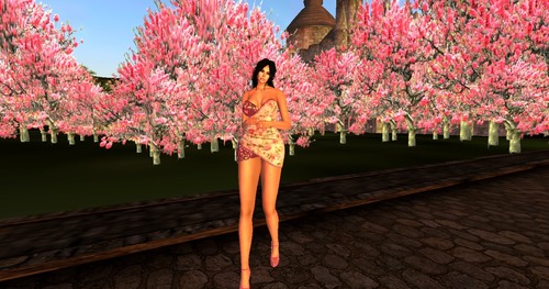 Web 57ee7e64b713f74dec000001