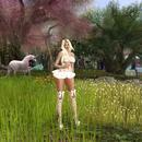 Thumb 60825c51c6f20e3205f1383c