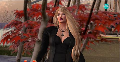 Web 5a9756bcd9859c61bc000001