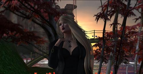 Web 5a97574bd774f859fe000001