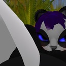 Thumb 56e7301be85cda7041000001