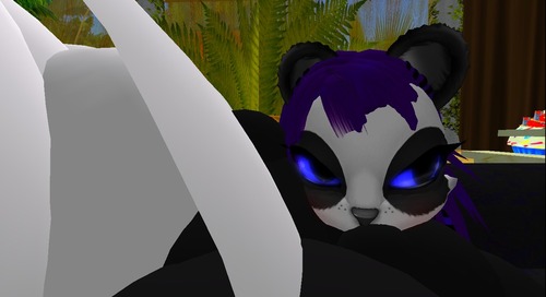 Web 56e7301be85cda7041000001