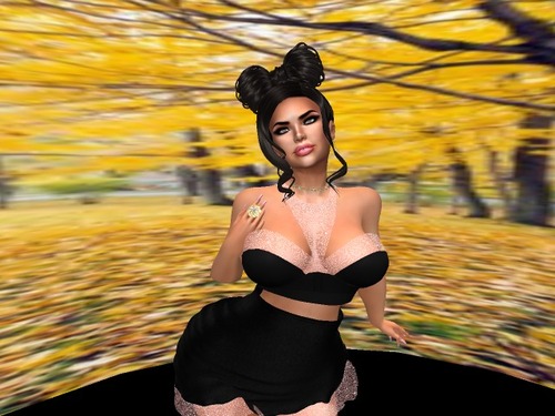 Web 585c10b7f8a1ec5b4b000001