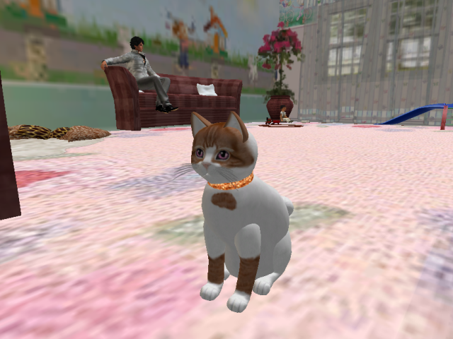 Original 5ab28abcd9859c65c2000001